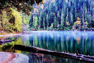 湖北旅游夏日景色,湖北旅游夏日景色描述