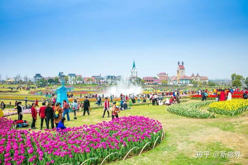 湖北文和旅游厅,湖北文旅局官网 湖北文和旅游厅,湖北文旅局官网