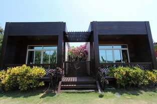 宠物友好酒店湖北美食,宠物友好民宿