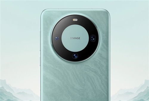 关于华为mate60事件介绍的信息