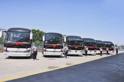 湖北旅游客运福田客车,福田客车多少钱