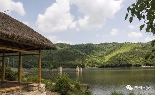 湖北随州小雨旅游,湖北随州小雨旅游公司电话