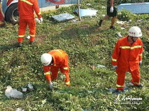 湖北旅游车事件,湖北旅游事故