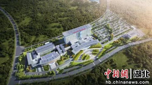 湖北旅游健康中心,湖北旅游健康中心电话