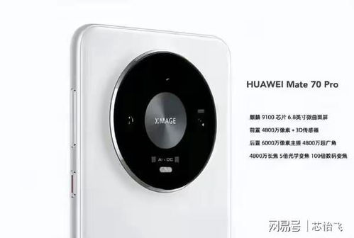 华为mate60鸿蒙系统更新后自拍模糊,华为升级鸿蒙系统后相机