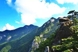 湖北美食山山,湖北很出名的山