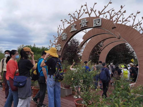 湖北当地旅游团,湖北当地旅游团有哪些