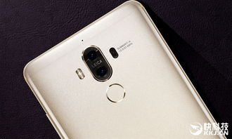 华为mate60数字变焦是多少,华为mate10数码变焦