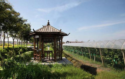 湖北旅游带婴儿,湖北带娃旅游