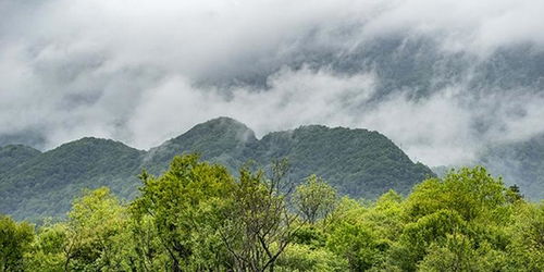 几号开始湖北旅游的,湖北旅游什么时候恢复