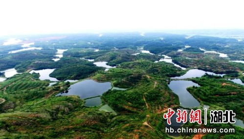 湖北崇阳旅游特色,湖北崇阳哪里好玩