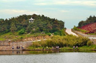 湖北金山县旅游,金山旅游区游玩攻略