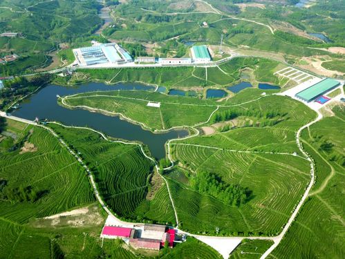 湖北白浪镇旅游攻略,湖北白浪镇旅游攻略路线