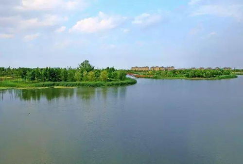 湖北金沙湖公园旅游资源,湖北金沙湖公园旅游资源介绍