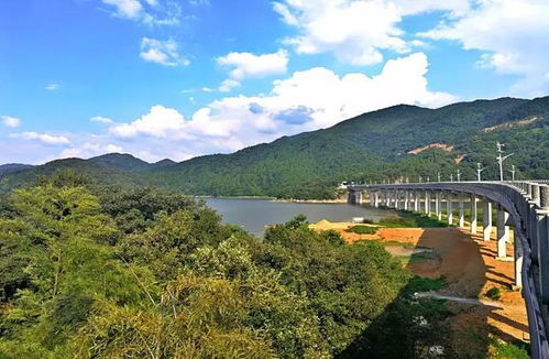 湖北通城旅游官网,湖北通城旅游攻略 湖北通城旅游官网,湖北通城旅游攻略