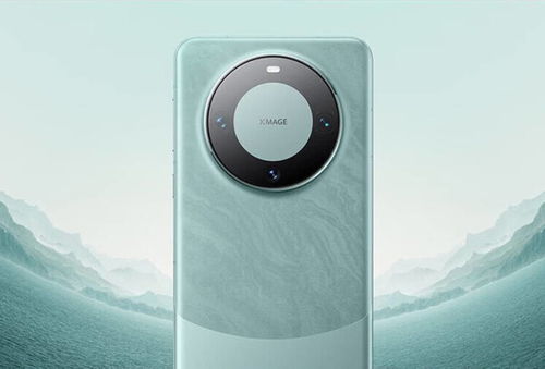 华为mate60退换货,华为产品退换货 华为mate60退换货,华为产品退换货