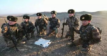 湖北兵旅游,湖北兵战斗力