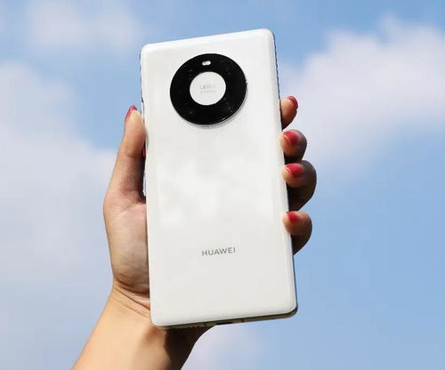 华为mate60钉钉子视频,华为手机钉钉视频会议可以横屏吗