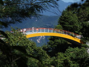 信阳湖北旅游推荐路线,信阳到湖北一日游