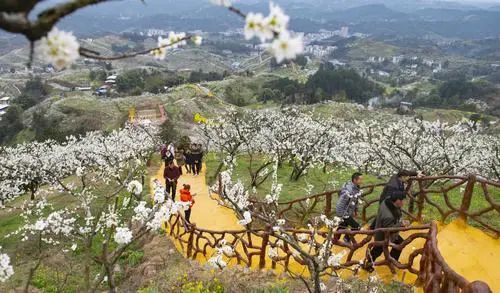 万州湖北旅游,万州旅游景区 万州湖北旅游,万州旅游景区