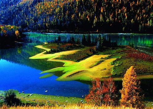 喀纳斯湖北旅游视频,喀纳斯湖风景视频