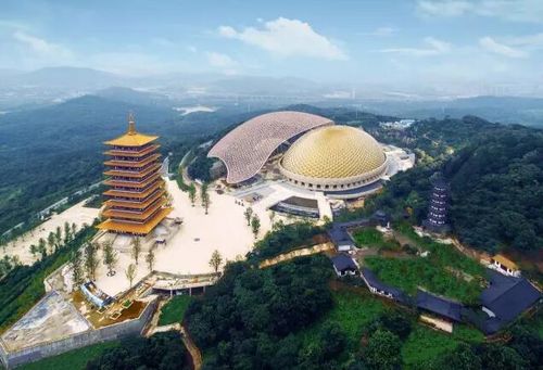 湖北姑娘到南京旅游,湖北姑娘到南京旅游怎么样