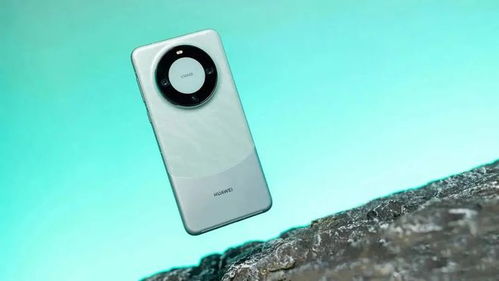 华为mate60标准版能改灵动岛吗,华为mate60官网商城