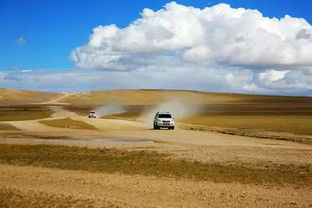 湖北去滩涂旅游,湖北去滩涂旅游要多少钱