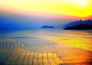 湖北去滩涂旅游,湖北去滩涂旅游要多少钱