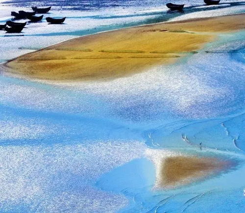 湖北去滩涂旅游,湖北去滩涂旅游要多少钱