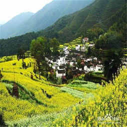 湖北婺源旅游攻略,江西婺源旅游路线 湖北婺源旅游攻略,江西婺源旅游路线