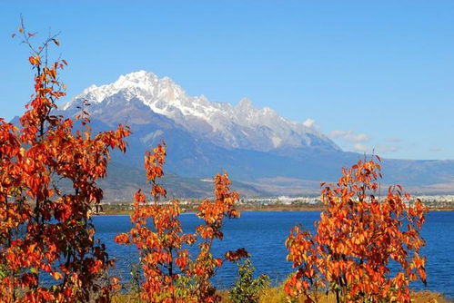 昆明去湖北旅游,从昆明去湖北需要隔离吗
