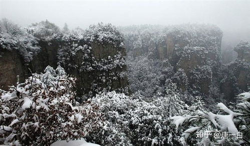 冬天看雪旅游湖北,冬天适合去哪里旅游看雪