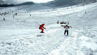 湖北旅游景点滑雪,湖北滑雪去哪里最好