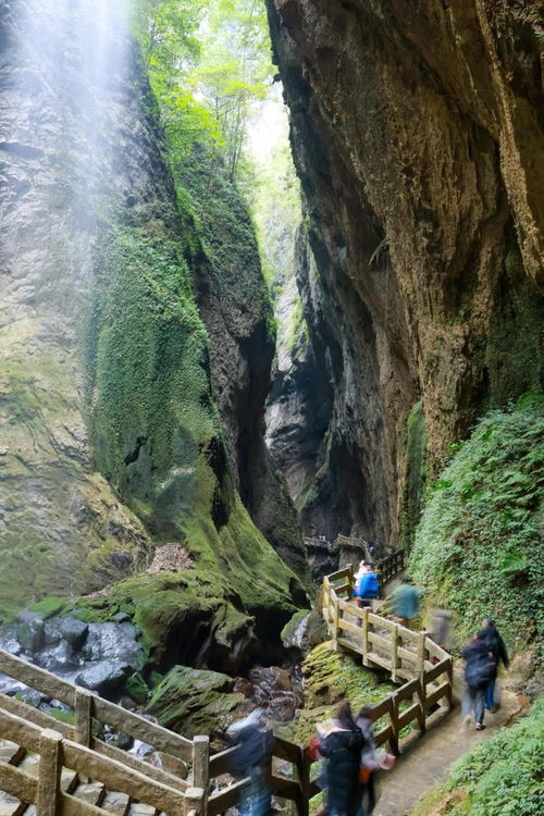 湖北重庆旅游景点,重庆湖北之间的旅游景点