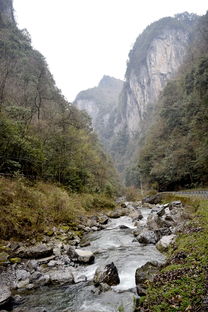 湖北巫溪旅游攻略,巫溪旅游攻略自由行 湖北巫溪旅游攻略,巫溪旅游攻略自由行
