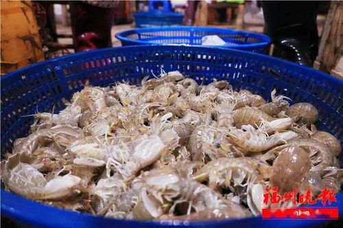 在福州吃湖北美食的人,福州人喜欢吃