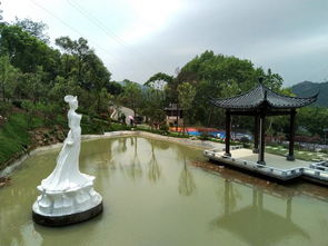 湖北旅游全景园,湖北旅游景点价格