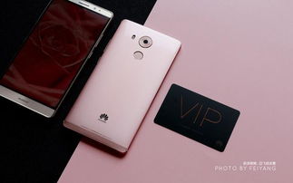 美女用华为mate60,华为的美女