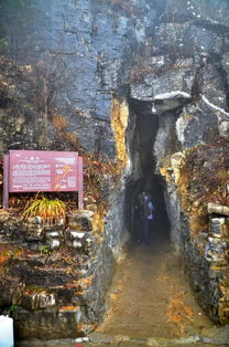 湖北自驾旅游攻略浙江,湖北自驾游旅游攻略