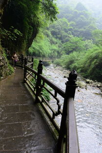 湖北适合老人旅游攻略,湖北省内适合老人自驾游线路