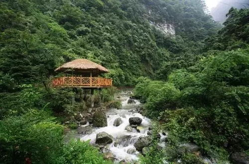 2017湖北免费旅游日,湖北旅游日免门票景点