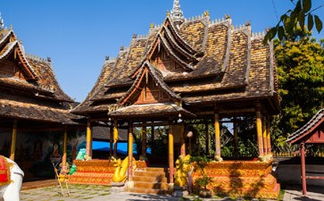 湖北出发西双版纳旅游,武汉到西双版纳旅游团