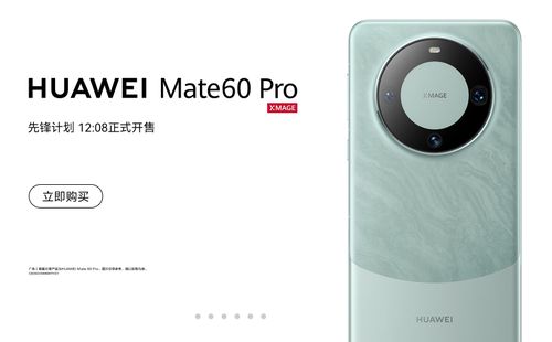 华为mate60火了,华为mate60火了吗