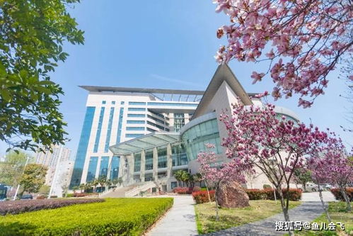 湖北大学生在昆明旅游,湖北大学生在昆明旅游怎么样