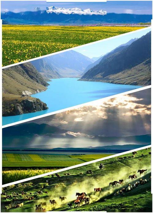 湖北伊犁旅游路线攻略,伊犁旅游攻略自由行路线推荐 湖北伊犁旅游路线攻略,伊犁旅游攻略自由行路线推荐