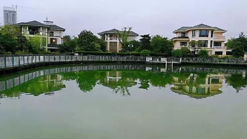 生态旅游引领湖北,生态旅游的实际意义