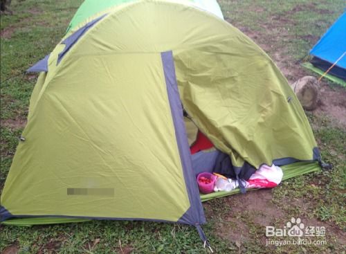 湖北神龙旅游投资,湖北神龙集团