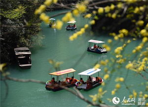清明出门旅游湖北,五一出游攻略湖北