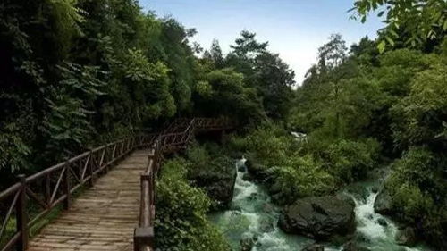 湖北七里坪旅游攻略,湖北七里坪旅游攻略一日游